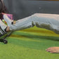 Ham Abs Roller