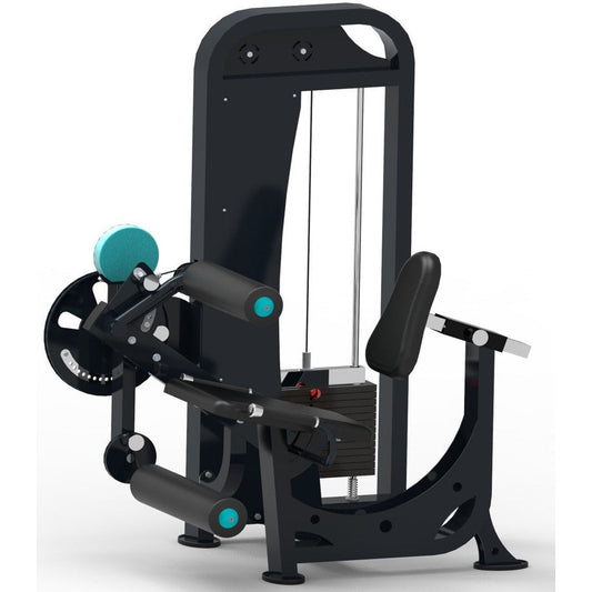 LEG EXTENSION AND CURL MACHINE